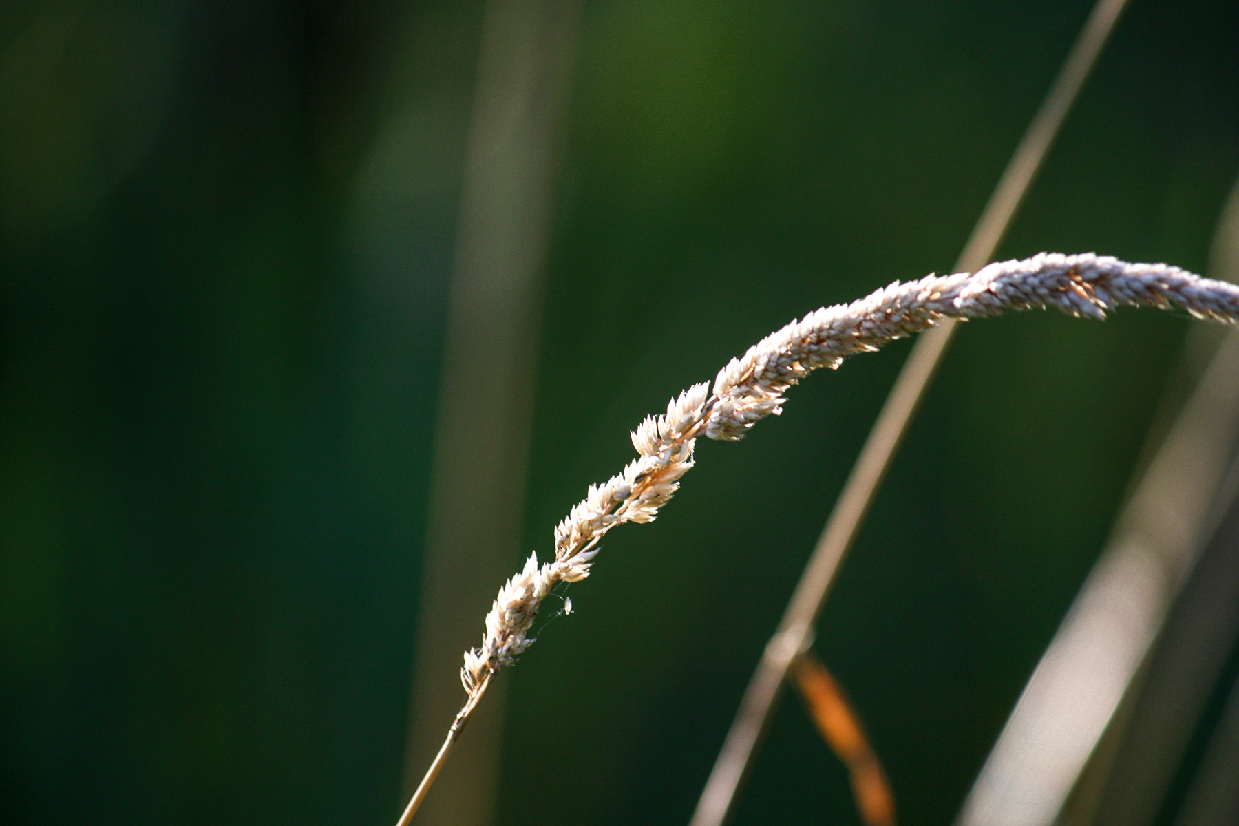 Herbstfeuer 2017