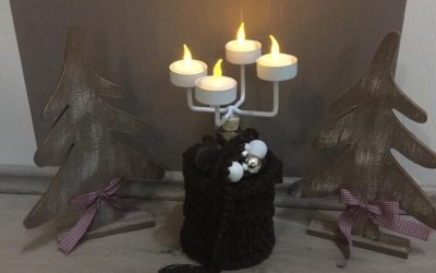 Rosianer Bastelidee zu Weihnachten